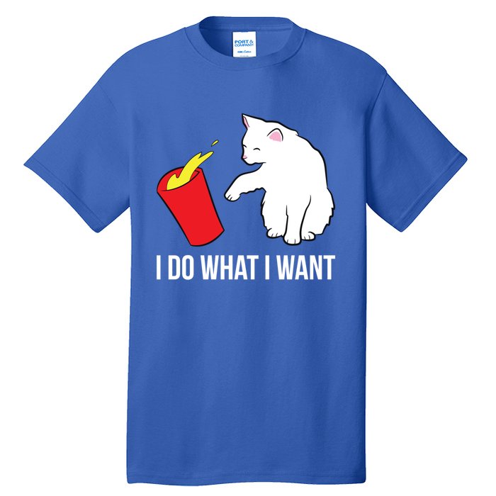 Cat Owner Gift Love Cats I Do What I Want Funny Cat Gift Tall T-Shirt