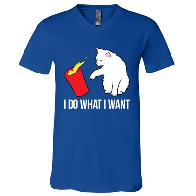 Cat Owner Gift Love Cats I Do What I Want Funny Cat Gift V-Neck T-Shirt