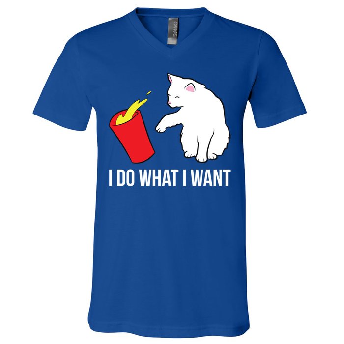 Cat Owner Gift Love Cats I Do What I Want Funny Cat Gift V-Neck T-Shirt