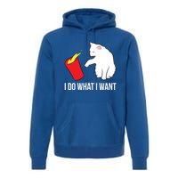 Cat Owner Gift Love Cats I Do What I Want Funny Cat Gift Premium Hoodie