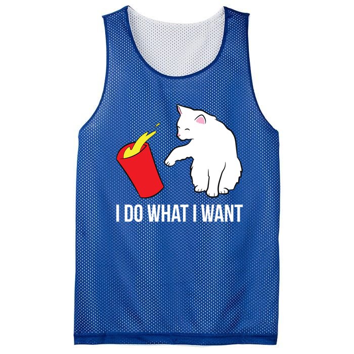 Cat Owner Gift Love Cats I Do What I Want Funny Cat Gift Mesh Reversible Basketball Jersey Tank