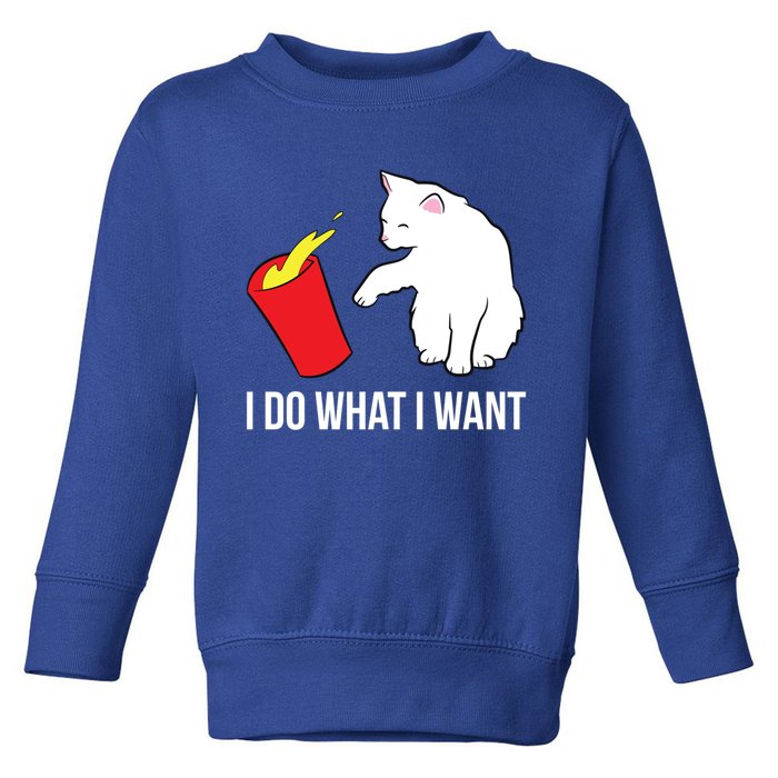 Cat Owner Gift Love Cats I Do What I Want Funny Cat Gift Toddler Sweatshirt