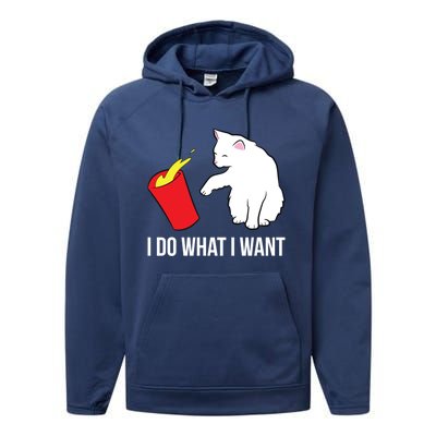 Cat Owner Gift Love Cats I Do What I Want Funny Cat Gift Performance Fleece Hoodie