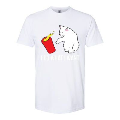 Cat Owner Gift Love Cats I Do What I Want Funny Cat Gift Softstyle CVC T-Shirt