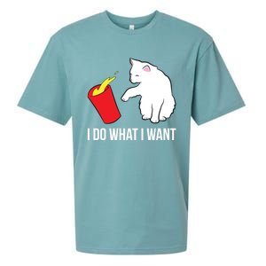 Cat Owner Gift Love Cats I Do What I Want Funny Cat Gift Sueded Cloud Jersey T-Shirt