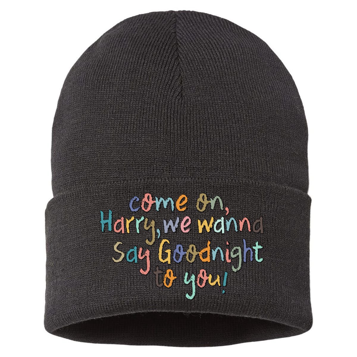 Come On, Harry, We Wanna Say Goodnight To You! As It Was Sustainable Knit Beanie