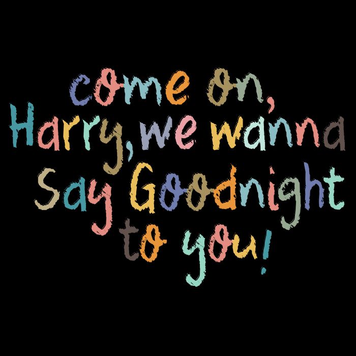 Come On, Harry, We Wanna Say Goodnight To You! As It Was Wool Snapback Cap