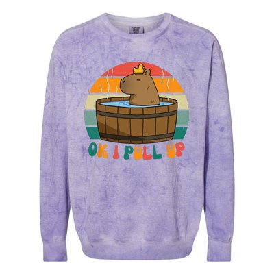 Capybara Ok I Pull Up Vintage Cute Funny Retro Rodent Colorblast Crewneck Sweatshirt