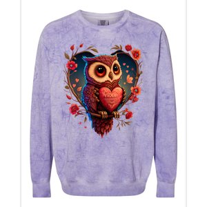 Cute Owl Lover Valentines Day Cute Owl Art Animal Graphic Colorblast Crewneck Sweatshirt