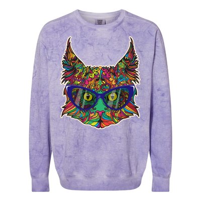 Colorfful Cat With Glasses Portrait Colorblast Crewneck Sweatshirt