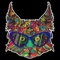 Colorfful Cat With Glasses Portrait Bucket Hat