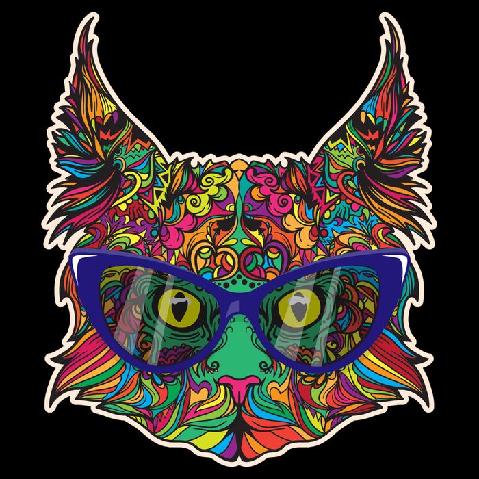 Colorfful Cat With Glasses Portrait Bucket Hat