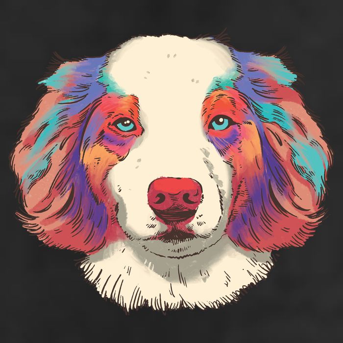 Colorful Australian Shepherd Trucker Hat