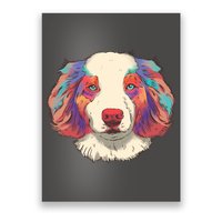 Colorful Australian Shepherd Poster
