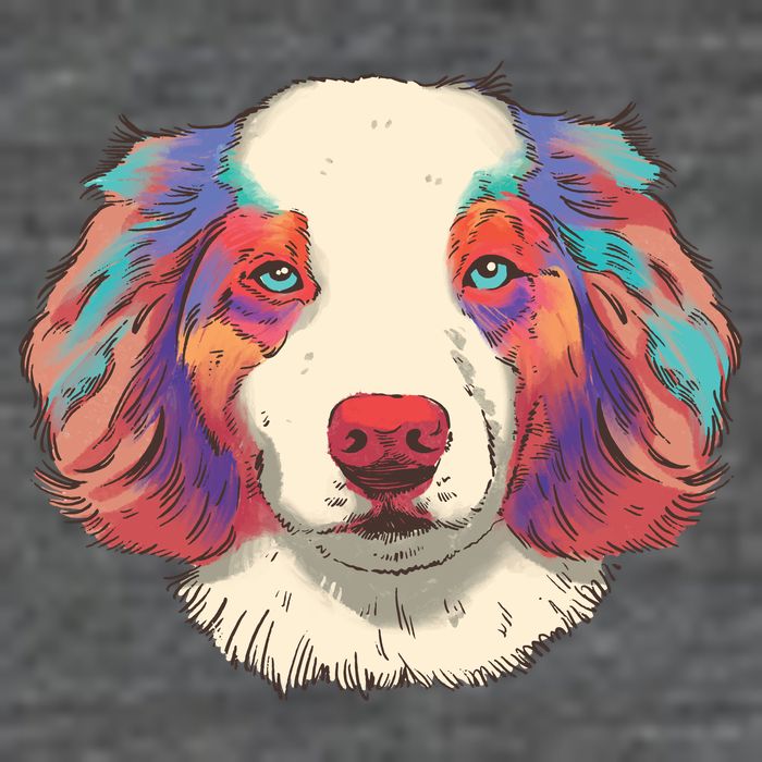 Colorful Australian Shepherd Wool Snapback Cap