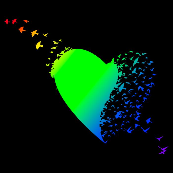 Colorful Bird Flocking Heart Rainbow Mug