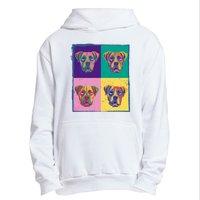 Colorful Boxer Dogs Urban Pullover Hoodie