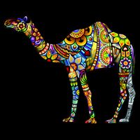 Colorful Camel Bucket Hat