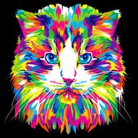Colorful Cat Pattern Flatbill Hat