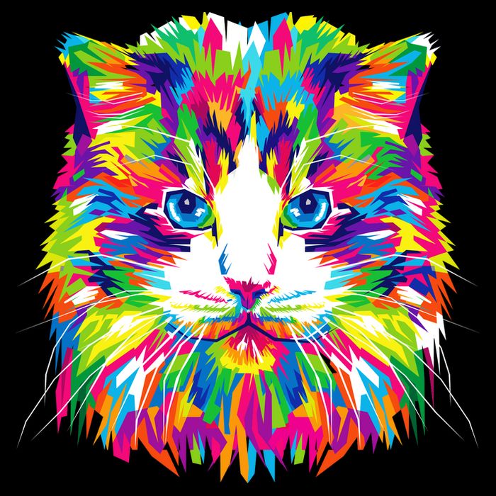 Colorful Cat Pattern Crop Top