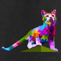 Colorful Curious Kitten Garment-Dyed Heavyweight T-Shirt