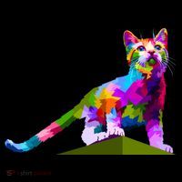 Colorful Curious Kitten Poster