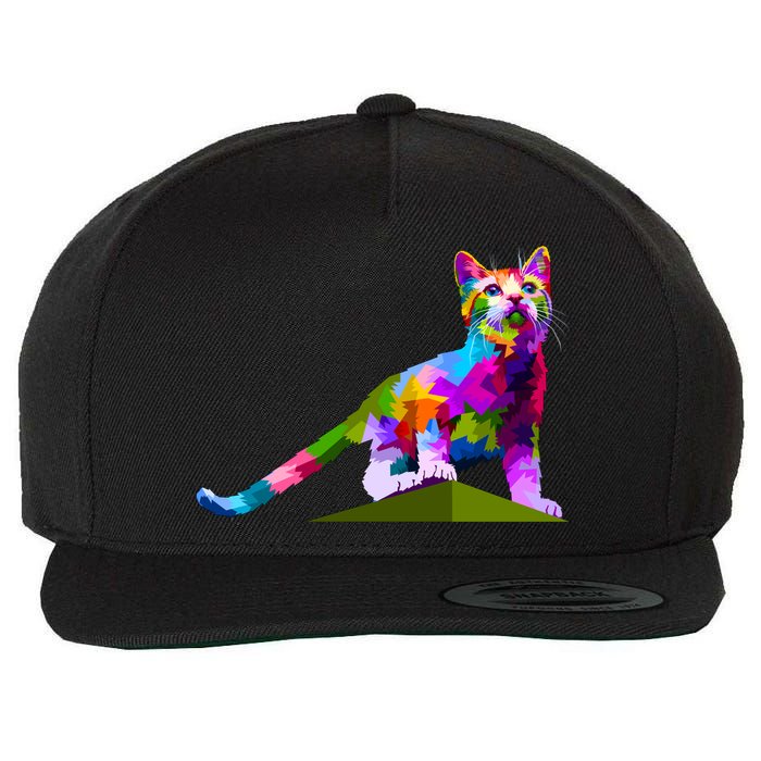 Colorful Curious Kitten Wool Snapback Cap