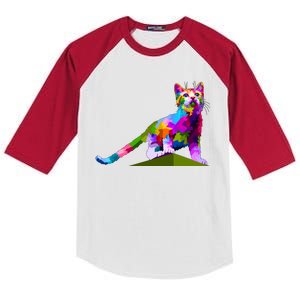 Colorful Curious Kitten Kids Colorblock Raglan Jersey