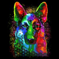 Colorful Dog German Shepard Poster