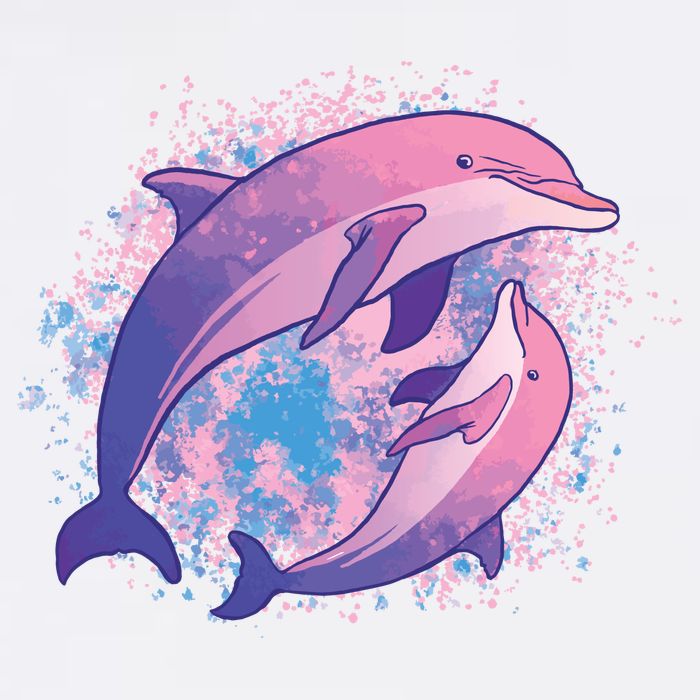 Colorful Dolphin Toddler T-Shirt