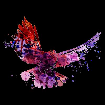 Colorful Dove T-Shirt