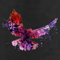 Colorful Dove Tumbler