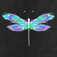 Colorful Dragonfly Garment-Dyed Heavyweight T-Shirt