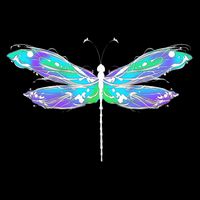 Colorful Dragonfly Full Zip Hoodie