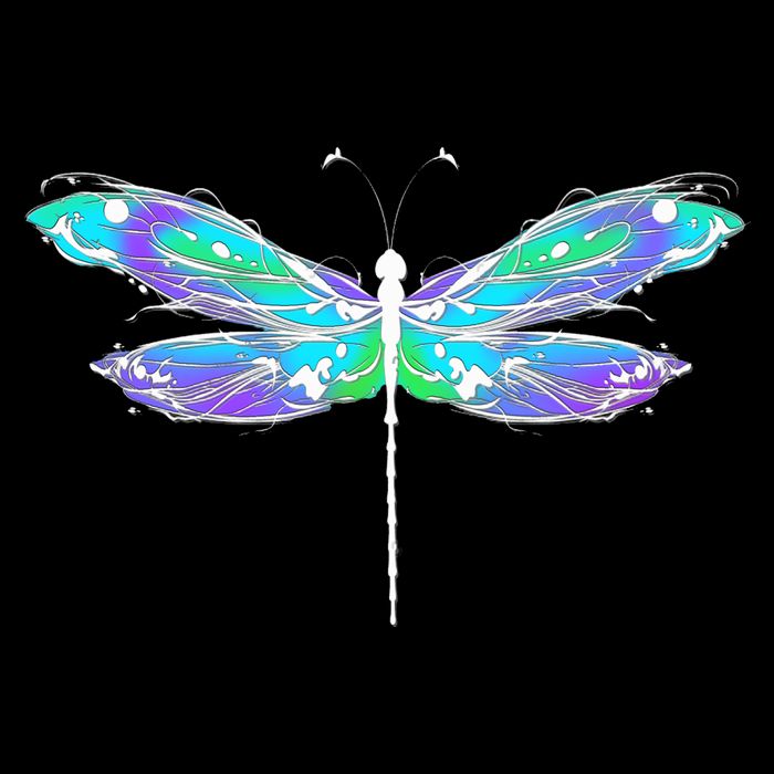 Colorful Dragonfly Full Zip Hoodie