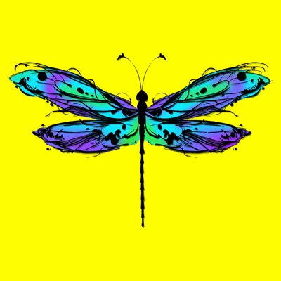 Colorful Dragonfly T-Shirt
