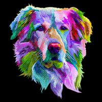 Colorful Golden Retriever T-Shirt