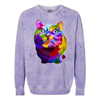 Colorful Kitten Nose Boop Colorblast Crewneck Sweatshirt