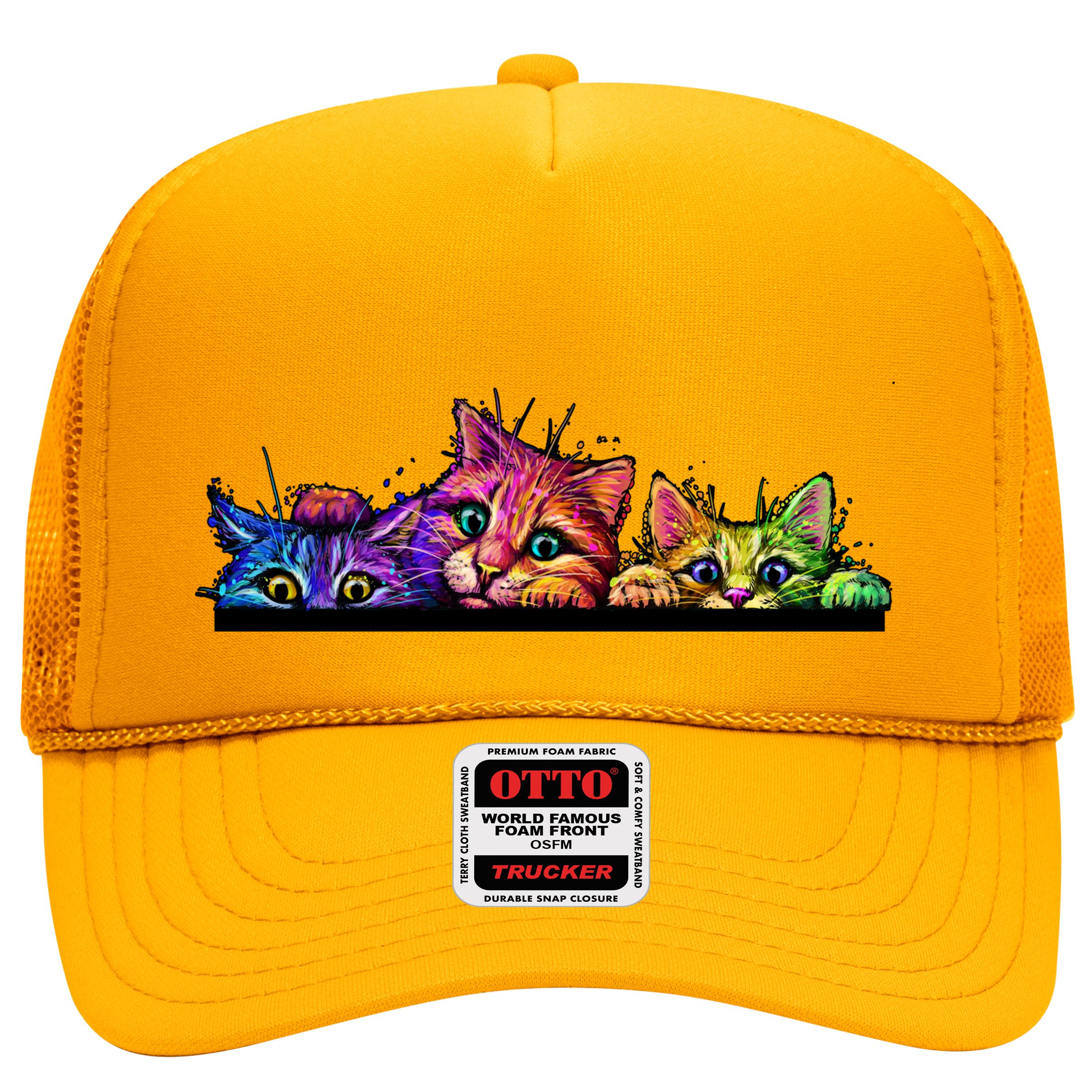 Colorful Kittens Trio Peaking Hat