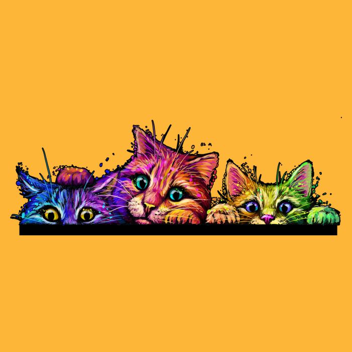 Colorful Kittens Trio Peaking Hat