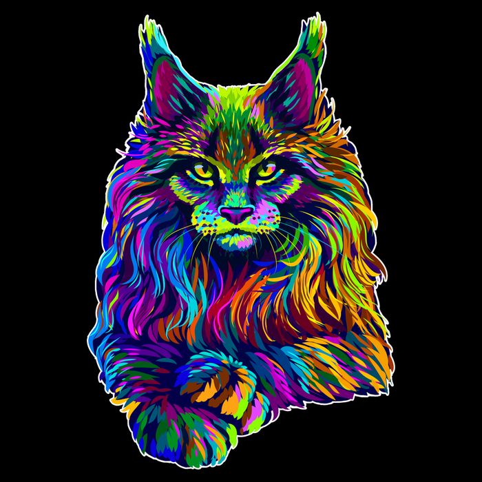 Colorful Lynx Ladies Essential Flowy Tank