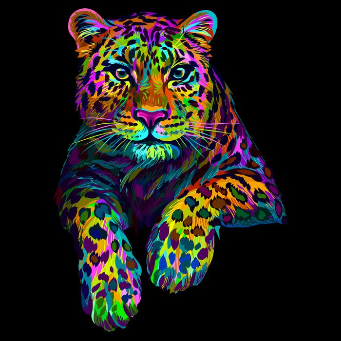 Colorful Neon Leopard Jaguar Portrait Backpack