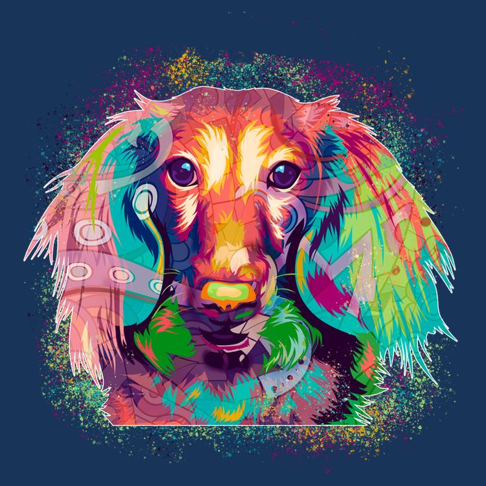 Colorful Pattern Dachshund Dog Bucket Hat