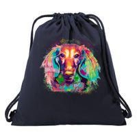 Colorful Pattern Dachshund Dog Drawstring Bag