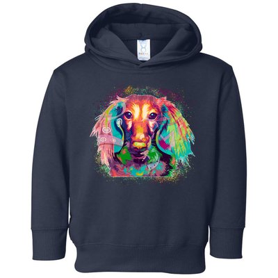 Colorful Pattern Dachshund Dog Toddler Hoodie