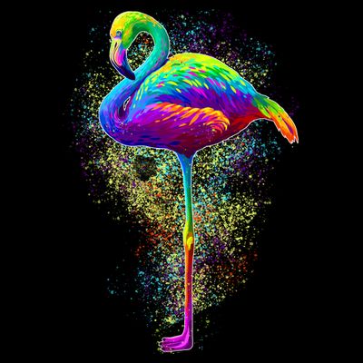 Colorful Pattern Flamingo T-Shirt