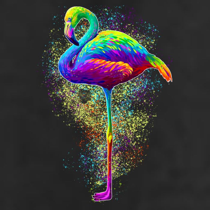 Colorful Pattern Flamingo Beanie