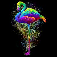 Colorful Pattern Flamingo Womens T-Shirt