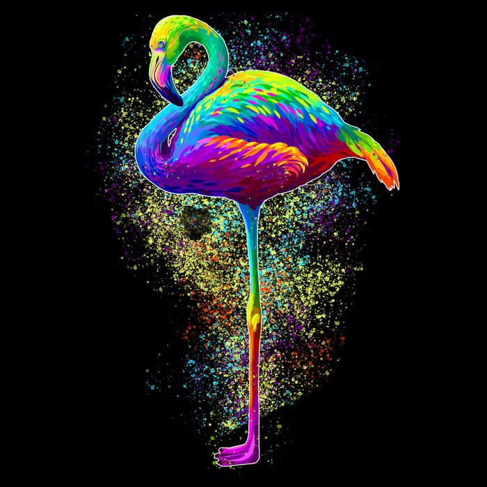 Colorful Pattern Flamingo Womens T-Shirt