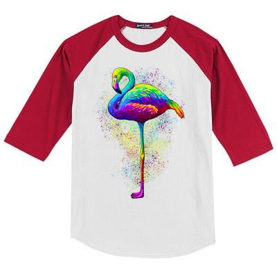 Colorful Pattern Flamingo Kids Colorblock Raglan Jersey